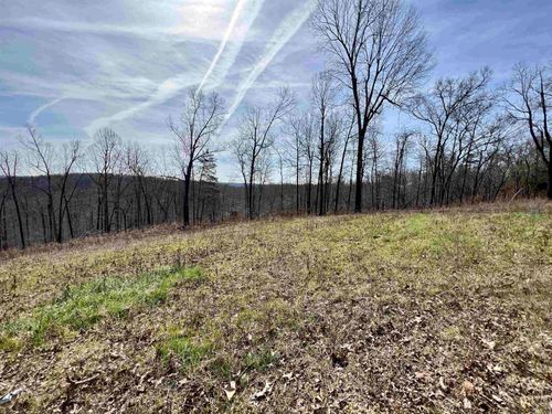 Tract 4 Ramblewood Trail, Yellville, AR, 72687 | Card Image