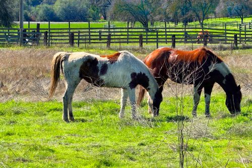 9862 Whalen Rd, Valley Springs, CA, 95252-8270 | Card Image