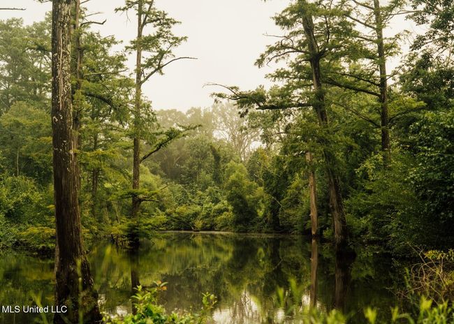 Castens Creek Pics-23 | Image 8