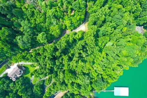 14 Diamond Point Dr, Butler, TN, 37640 | Card Image