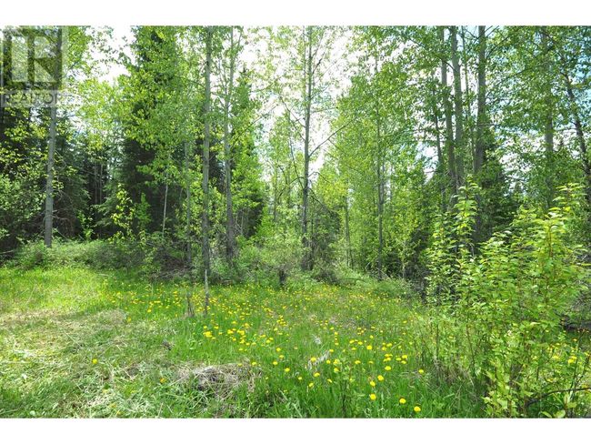 5065 Cave Rd, Home with 0 bedrooms, 0 bathrooms and null parking in Horsefly BC | Image 8