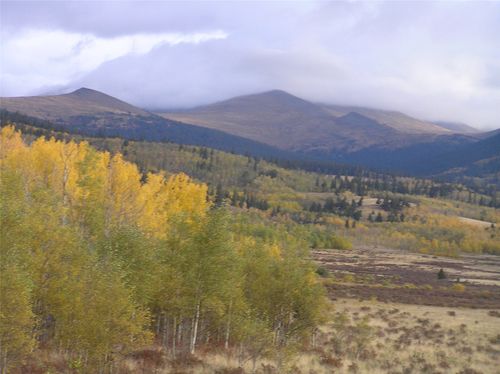 918 Little Baldy Cir, FAIRPLAY, CO, 80440 | Card Image