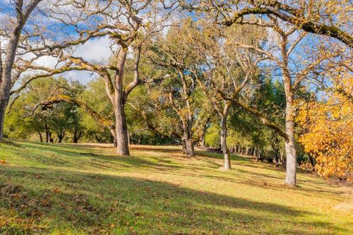 36 Arroyo Sequoia, Carmel, CA, 93923-7701 | Card Image