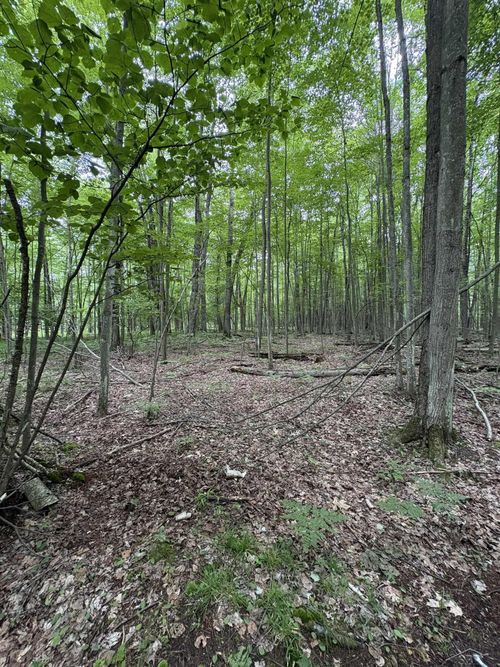 3680 Wieman Road, Billings Township, MI, 48612 | Card Image