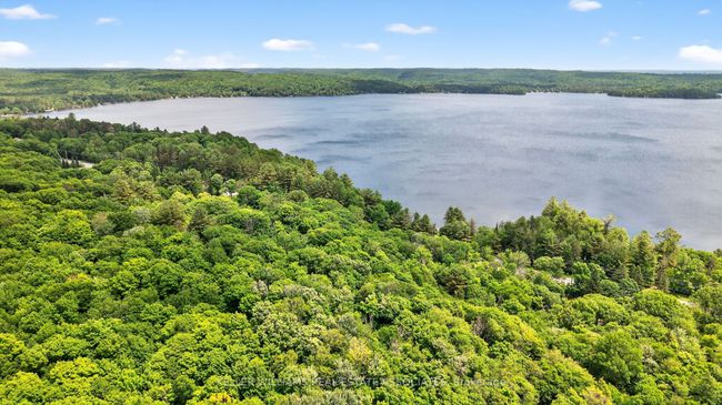 17377 35 Highway, House other with 3 bedrooms, 1 bathrooms and 8 parking in Algonquin Highlands ON | Image 47
