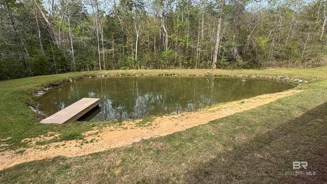 Dock | Image 27