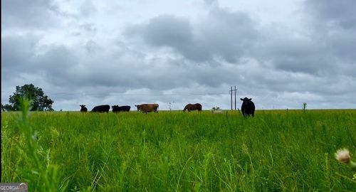 00 Lynntown Rd, Collins, GA, 30421 | Card Image