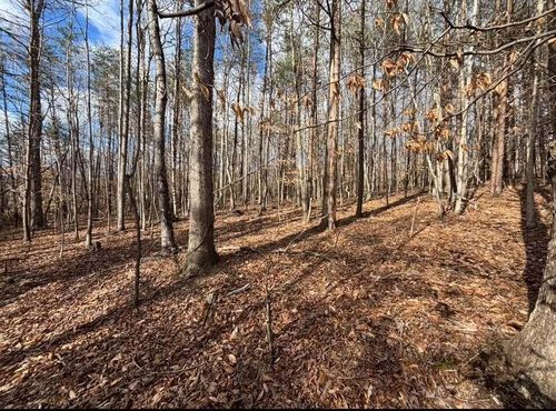 Lot 13 Tarragon Way, Moneta, VA, 24121 | Card Image