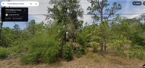 11754 N Belluzzi Ter, DUNNELLON, FL, 34433-2181 | Card Image