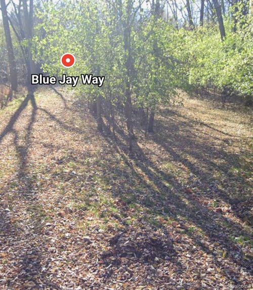 00000 Blue Jay Way, West Bloomfield, MI, 48322 | Card Image