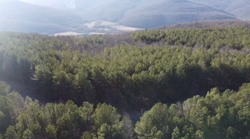 0 Hillis Cemetary Rd, Spencer, TN, 38585 | Card Image