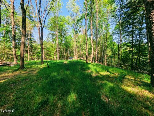 Tbd Leaf Ridge, Clintwood, VA, 24228 | Card Image