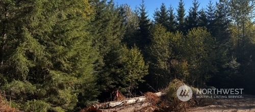 lot-2-0 Misty Hill Drive, Toutle, WA, 98649 | Card Image