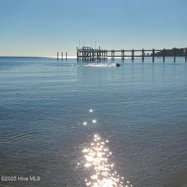 994 Seashore Dr Drive, Home with 0 bedrooms, 0 bathrooms and null parking in Atlantic NC | Image 9