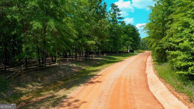 511 Bo Cannington Rd, House other with 4 bedrooms, 4 bathrooms and null parking in Morris GA | Image 64