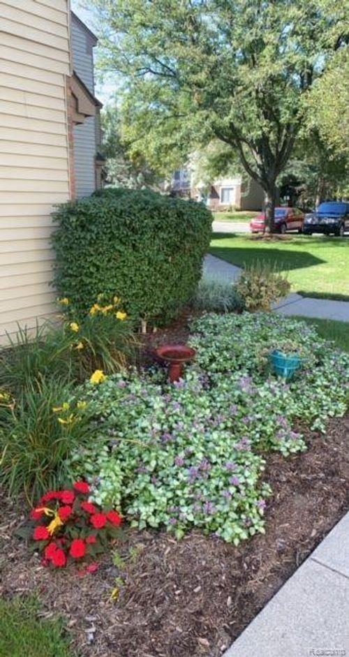 55-1567 Streamwood Court, Rochester Hills, MI, 48309 | Card Image