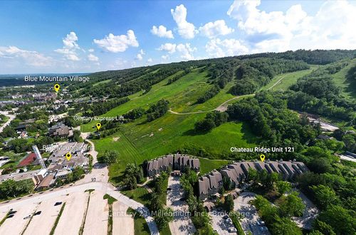 121-796404 Grey Road 19, Blue Mountains, ON, L9Y0N8 | Card Image