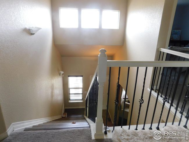 548 Dakota Way, House other with 6 bedrooms, 4 bathrooms and null parking in Windsor CO | Image 29