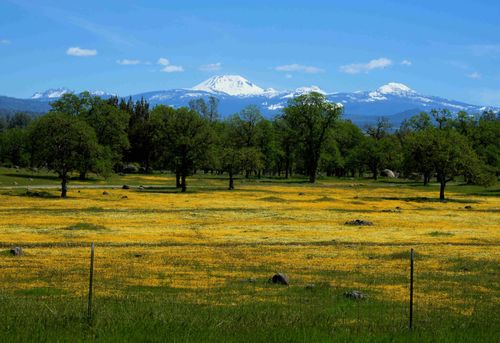 21675 Wildcat Rd, Paynes Creek, CA, 96075-9601 | Card Image