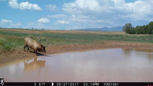 000 Akati Gulch Road, Hesperus, CO, 81326 | Card Image