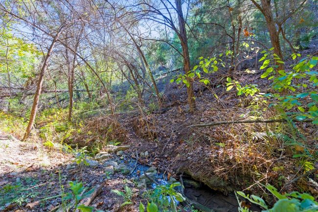 The creek at the very rear/back of the lot | Image 8