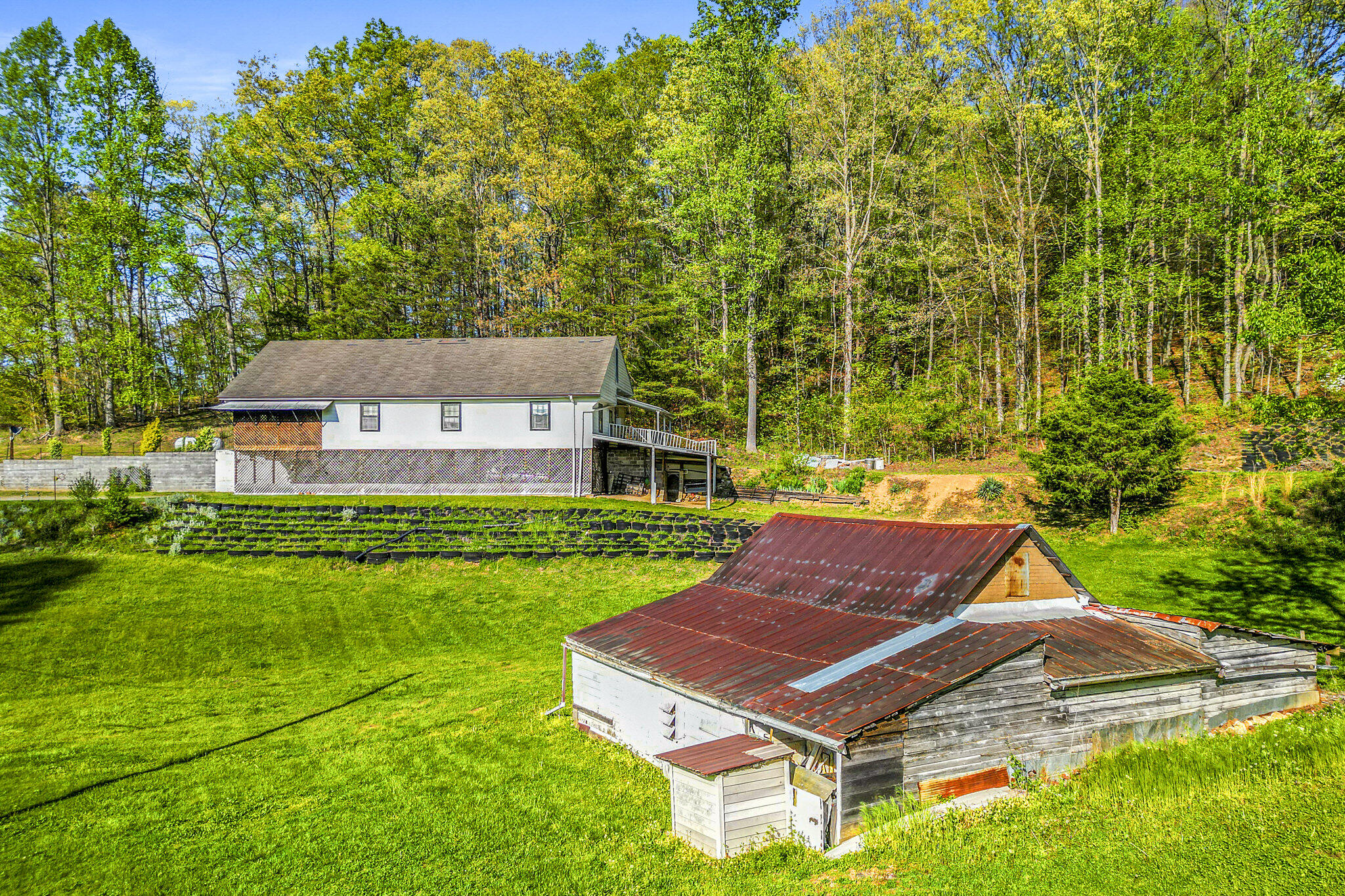 Wilson Ln, New Tazewell, TN 37825