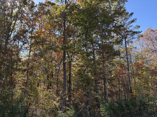 0 Colony Rd, Gruetli Laager, TN, 37339 | Card Image