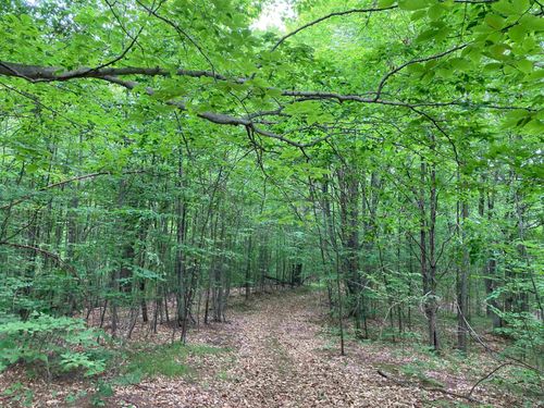 N/A Brenda Drive, Rose Township, MI, 48635 | Card Image