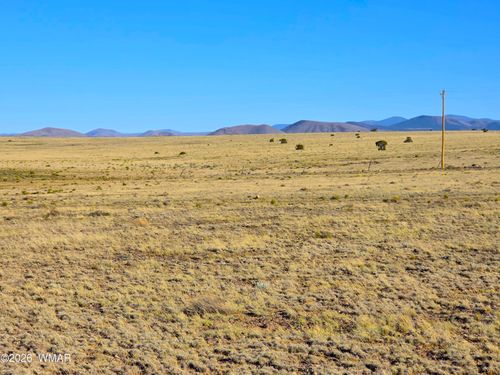 Lot 4 County Road 5074, Concho, AZ, 85924 | Card Image