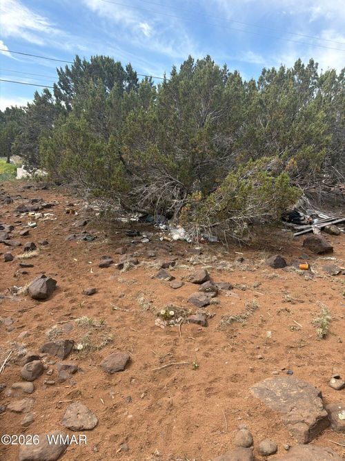 8549 Antelope Dr, Show Low, AZ, 85901-6831 | Card Image