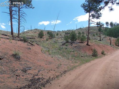 14691 Crooked Trail Rd, Woodland Park, CO, 80863 | Card Image