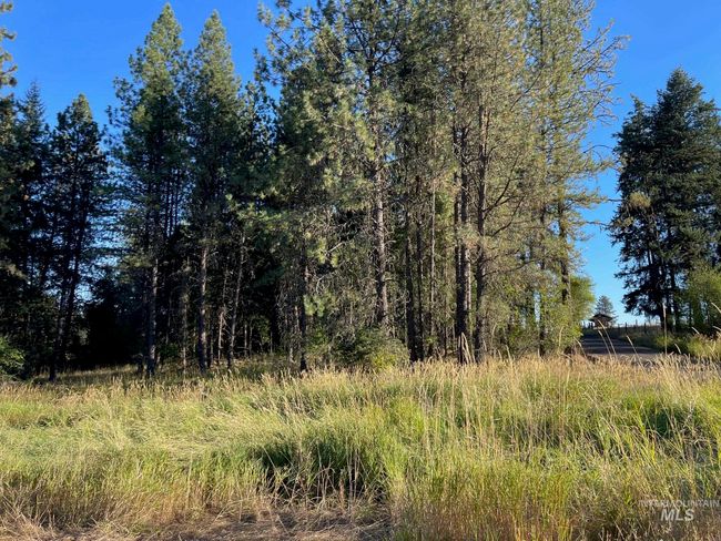 181 Harris Ridge Loop, House other with 3 bedrooms, 3 bathrooms and 2 parking in Kooskia ID | Image 42