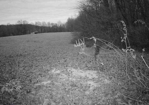 1111 Clear Branch Rd, Liberty, KY, 42539 | Card Image