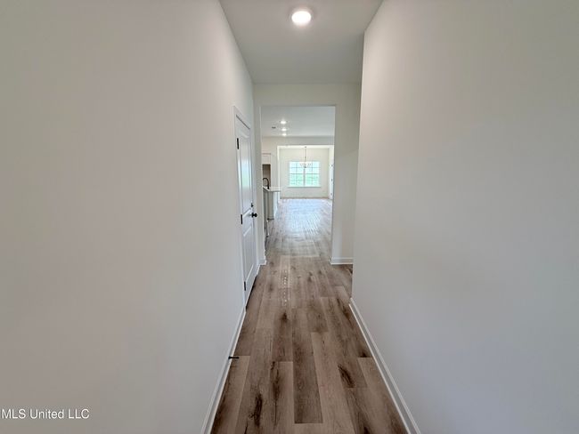 Panola | Image 19