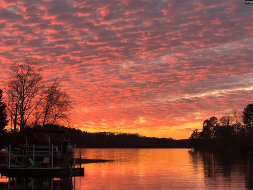 448 Lookover Pointe Dr, Chapin, SC, 29036-7659 | Card Image
