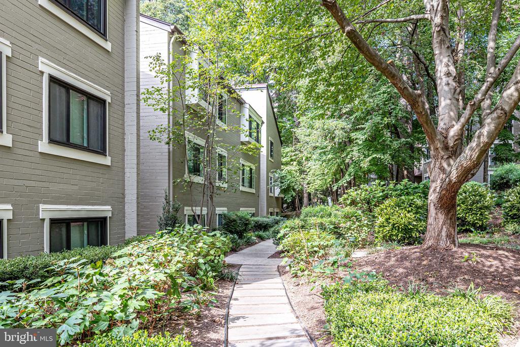 Residential Lease in RESTON 3