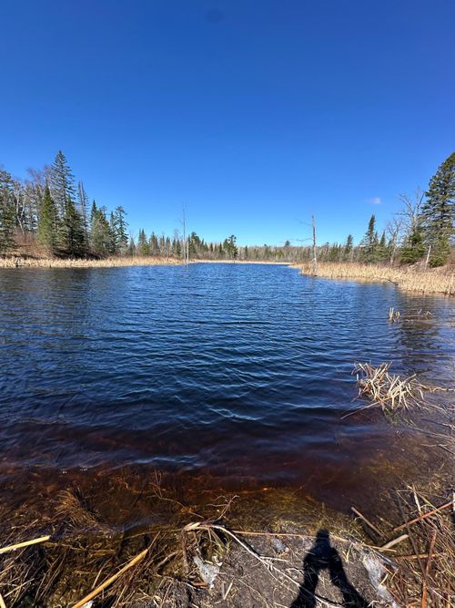 TBD Ct 307, Blackduck, MN, 56630 | Card Image