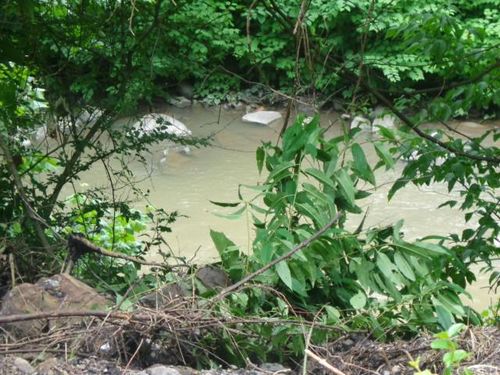 00 Yukon Ave, War, WV, 24892 | Card Image