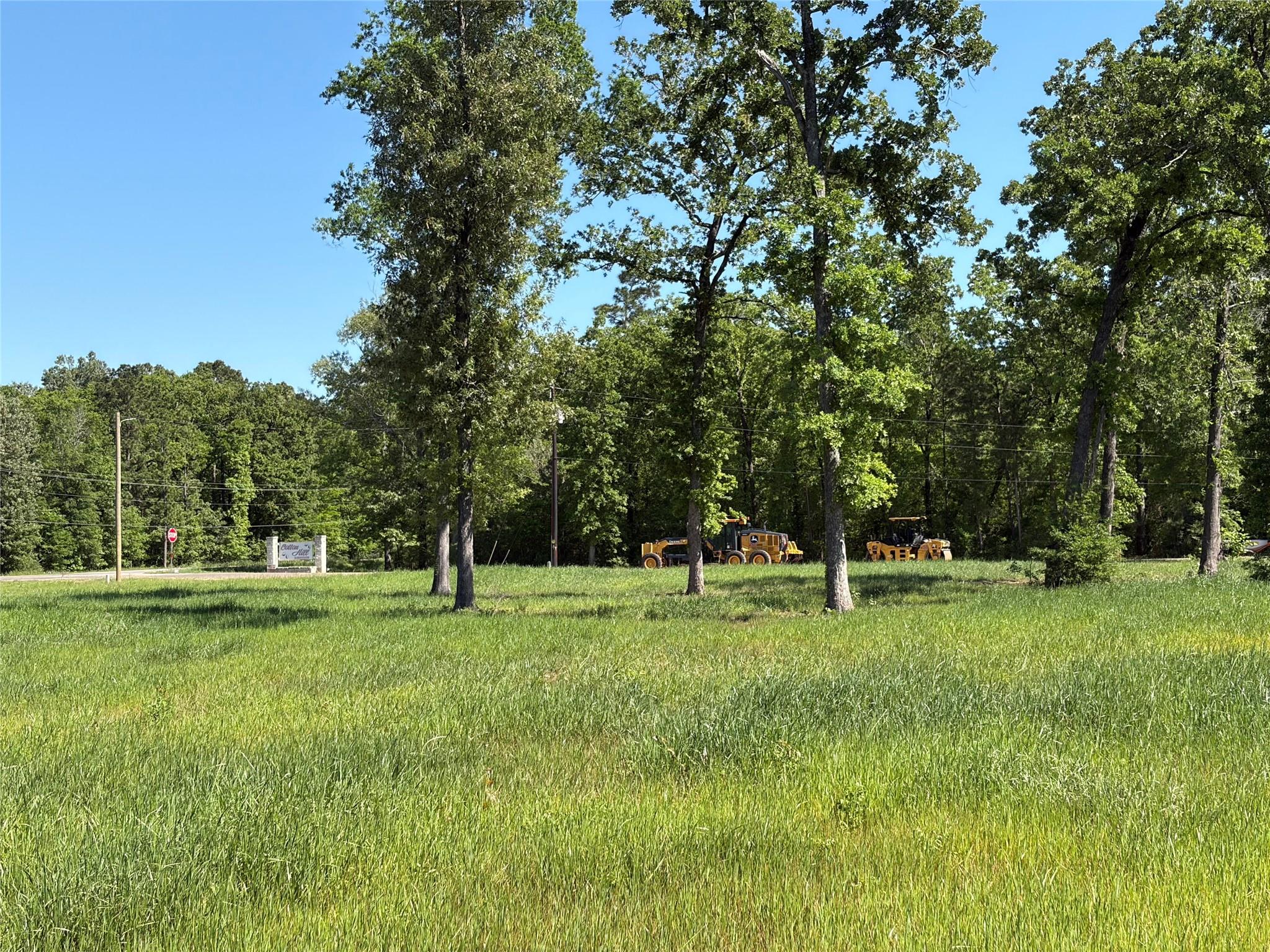 Land in Livingston 2
