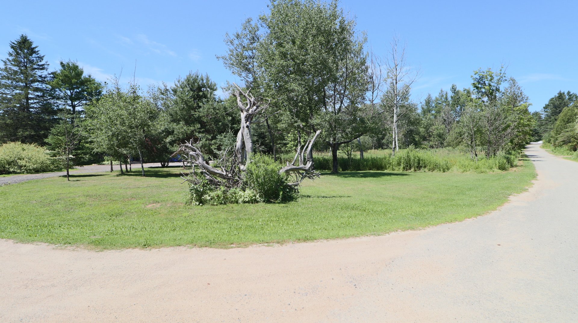 Land in Papineauville 4
