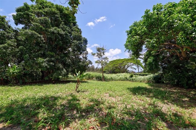 59-439 Alapio Rd, Home with 0 bedrooms, 0 bathrooms and null parking in Haleiwa HI | Image 13