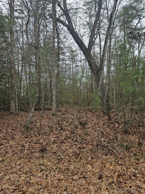 5053 Broken Bow Dr, Crossville, TN, 38572 | Card Image