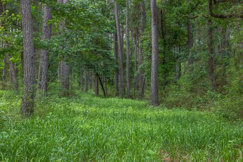 5772 Pr 2065, Centerville, TX, 75833 | Card Image