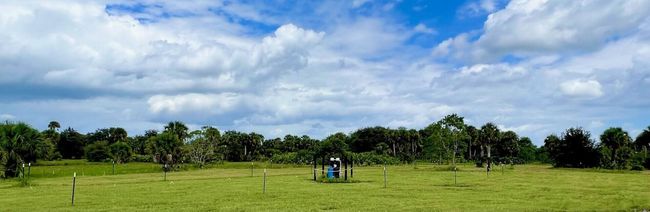1303 Cabbage Ln, Home with 0 bedrooms, 0 bathrooms and null parking in Okeechobee FL | Image 12