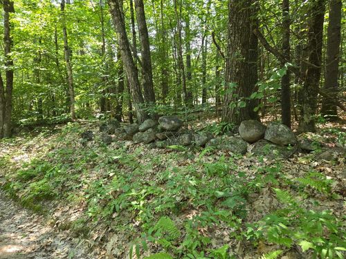 Lot 26 Davis Hill Rd, Center Conway, NH, 03813-4300 | Card Image