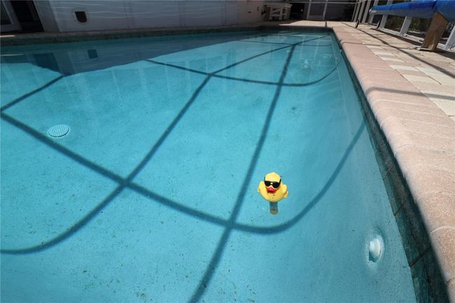 1525 Albemarle Ct, House other with 3 bedrooms, 2 bathrooms and null parking in Dunedin FL | Image 12