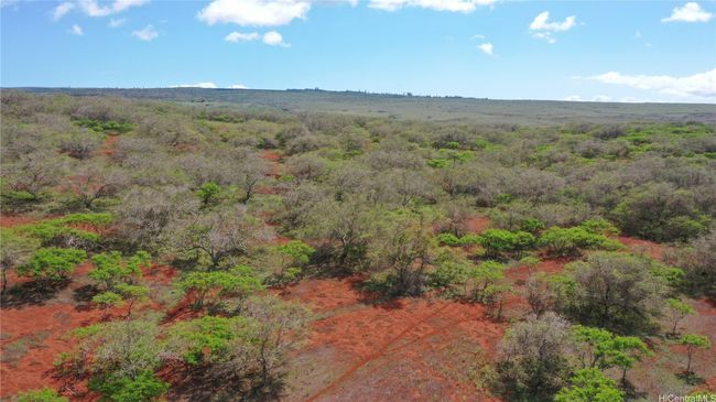 LOT-38 - 000 Kalua Koi Rd, Home with 0 bedrooms, 0 bathrooms and null parking in Maunaloa HI | Image 9
