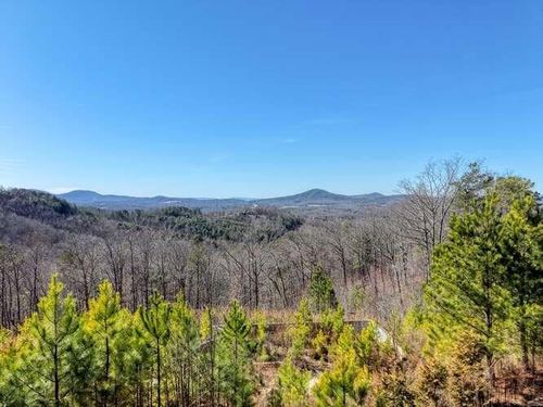 Lot 364 Thirteen Hundred, Blairsville, GA, 30512 | Card Image