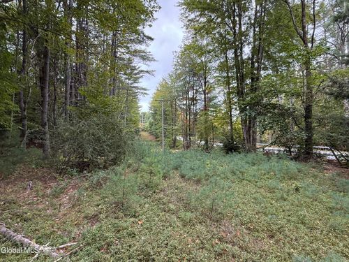 0 Sawmill Rd, Bolton Landing, NY, 12814 | Card Image