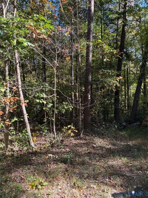 0 Stokes Station Rd, Goochland, VA, 23063 | Card Image